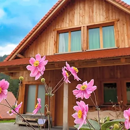 Dolomiti Village 3* Comeglians
